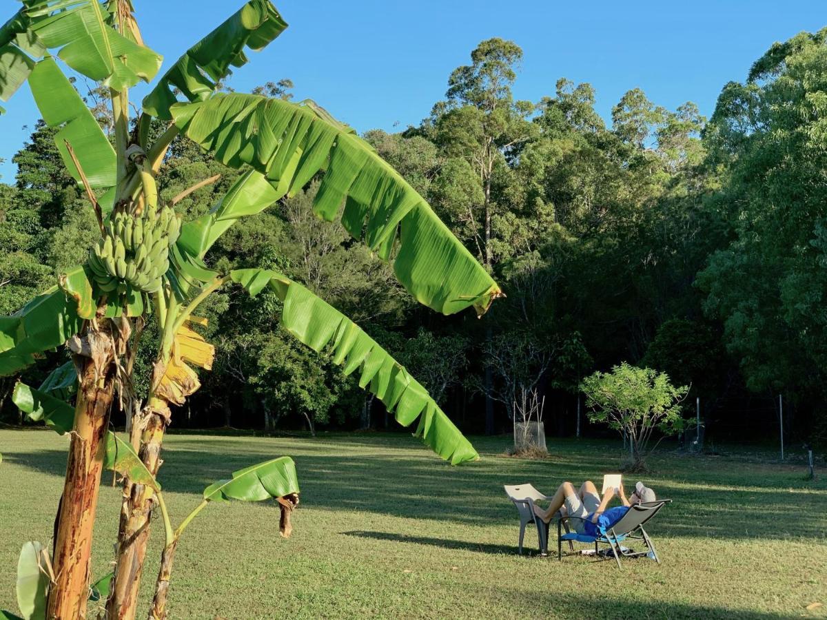 Koah Cedar Park Rainforest Resort מראה חיצוני תמונה