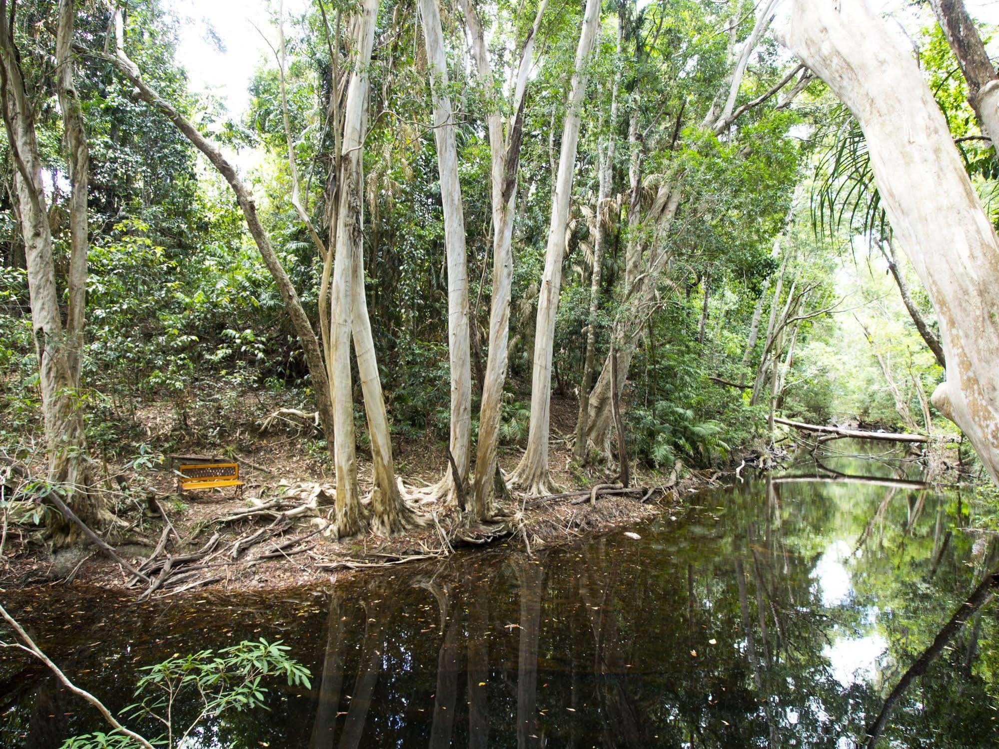 Koah Cedar Park Rainforest Resort מראה חיצוני תמונה