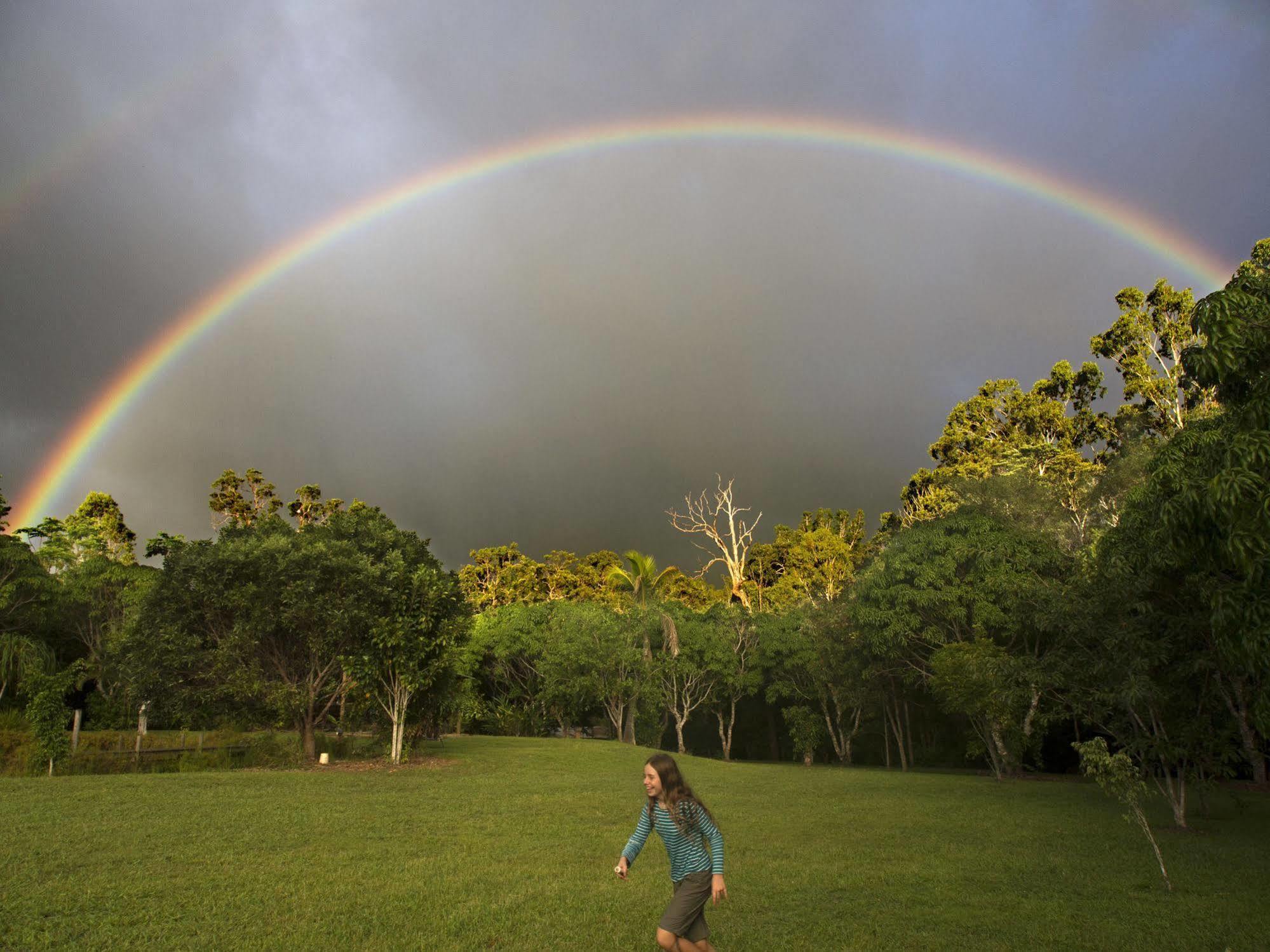 Koah Cedar Park Rainforest Resort מראה חיצוני תמונה